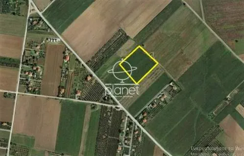 Land Parcel 6000m²  - 2
