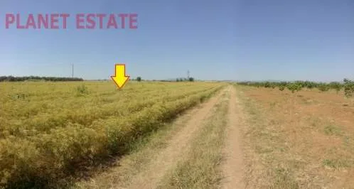 Land Parcel 6000m²  - 5
